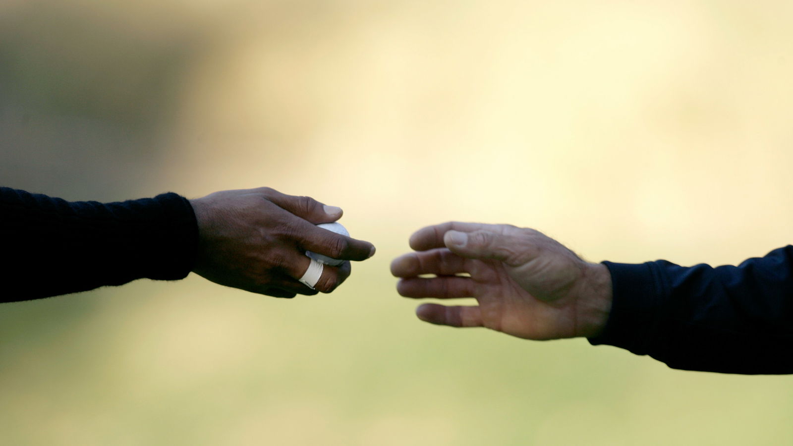 Tour pro's caddie touches his ball, gets him penalised one stroke